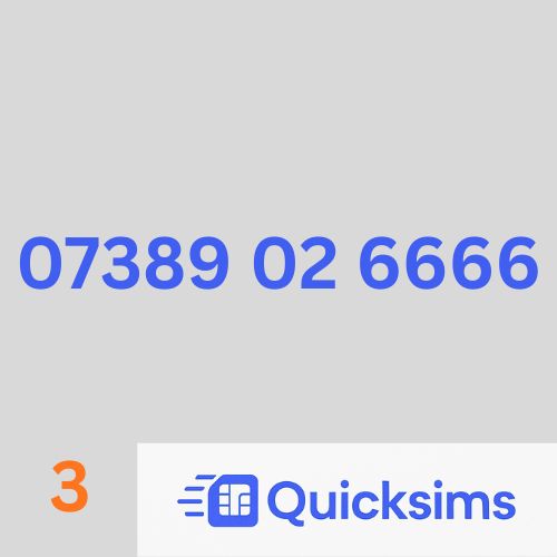 Network Three sim card with VIP Memorable Mobile Number 07389 02 6666 with zero credit which once topped up can be ported to other providers